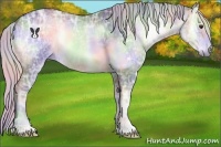 Horse Color:Nacre Silver Blue Onyx Chinchilla Ice