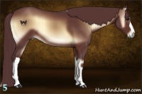 Horse Color:Chocolate Brown Onyx 