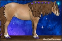 Horse Color:Brown Pearl Sabino
