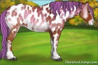 Horse Color:Painted White Spotted Bay Onyx Appaloosa 
