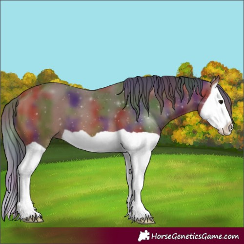 Horse Color:Nacre Bay Splash
