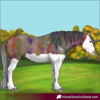 Horse Color:Nacre Bay Splash 