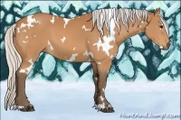 Horse Color:White Spotted Silver Bay 