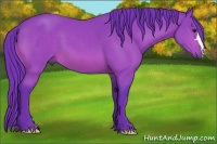 Horse Color:Watercolor Bay 
