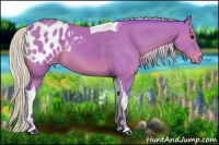 Horse Color:Watercolor Silver Black Tobiano Appaloosa 