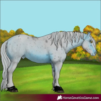 Horse Color:ERROR: UNKNOWN ANOMALY