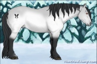 Horse Color:Brown Chinchilla