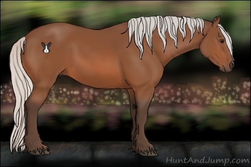Horse Color:Silver Bay 