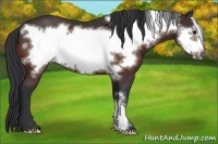 Horse Color:Brown Frame 