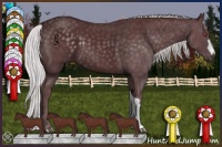 Horse Color:Chocolate Silver Black Chinchilla 