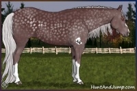 Horse Color:Chocolate Silver Black Chinchilla 