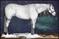 Horse Color:White Spotted Blue Roan Rabicano  and White Spotted Black Rabicano 