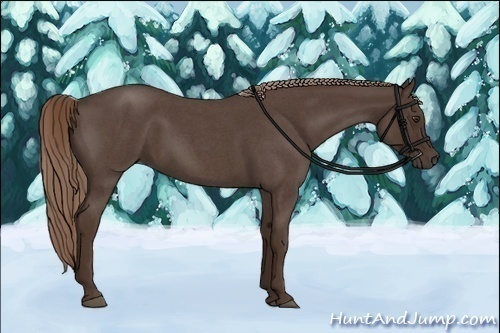 Horse Color:Liver Red Roan