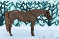 Horse Color:Liver Red Roan