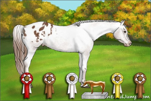 Horse Color:Chestnut Varnish 