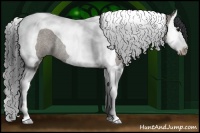 Horse Color:Grullo Roan Splash Tobiano Rabicano