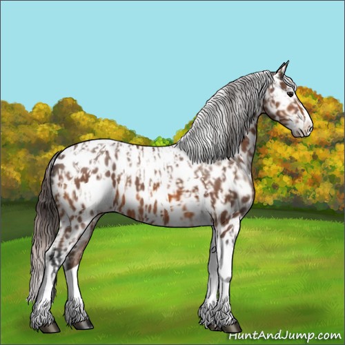 Horse Color:Bay Splash Tobiano Near Leopard and Bay Splash Tobiano Near Leopard Rabicano