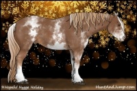Horse Color:White Spotted Chestnut Rabicano