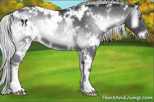 Horse Color:White Spotted Silver Blue Onyx Chinchilla 