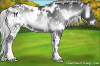 Horse Color:White Spotted Silver Blue Onyx Chinchilla 