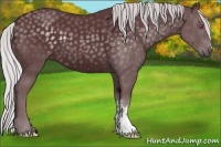 Horse Color:Chocolate Silver Black Chinchilla 