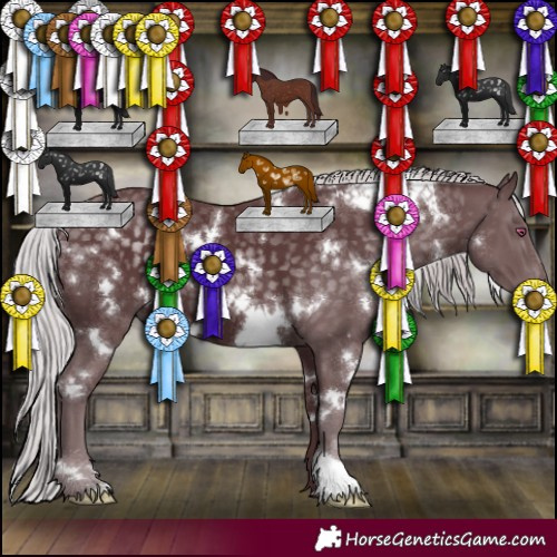 Horse Color:White Spotted Chocolate Silver Black Chinchilla 