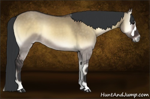 Horse Color:Brown Onyx