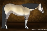 Horse Color:Brown Onyx