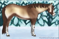 Horse Color:Red Onyx 