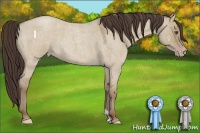Horse Color:Classic Champagne Roan Dun