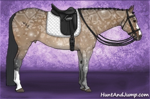 Horse Color:Brown Ice Dun