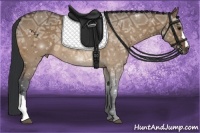 Horse Color:Brown Ice Dun