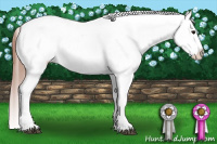 Horse Color:White Spotted Bay Frame Varnish 
