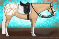 Horse Color:Silver Amber Champagne Splash Varnish Rabicano