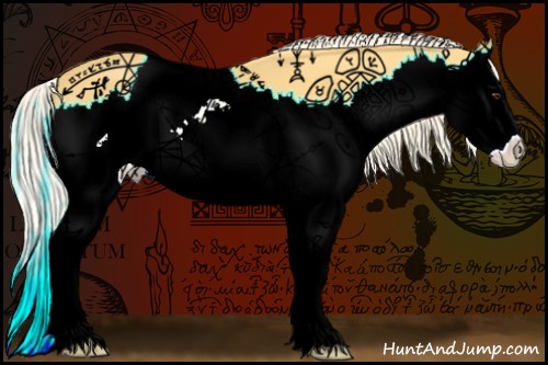 Horse Color:Palomino Splash 