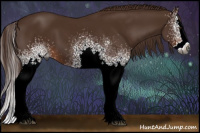 Horse Color:Gray White Spotted Chestnut Splash 