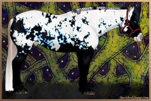 Horse Color:Bay Dun Sabino Splash Varnish