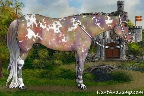 Horse Color:Nacre White Spotted Bay Rabicano 