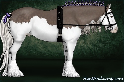 Horse Color:Silver Black Splash 