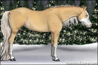 Horse Color:Silver Sable Cream Champagne Sabino 