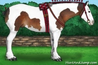 Horse Color:Brown Splash Tobiano 