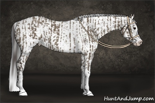 Horse Color:Smoky Grullo Sabino  and Grullo Sabino 