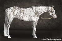 Horse Color:Smoky Grullo Sabino  and Grullo Sabino 