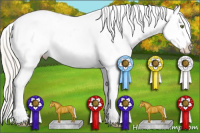 Horse Color:Silver Classic Cream Champagne Roan Appaloosa 