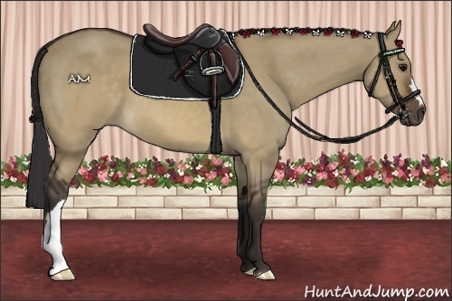 Horse Color:Buckskin Dun