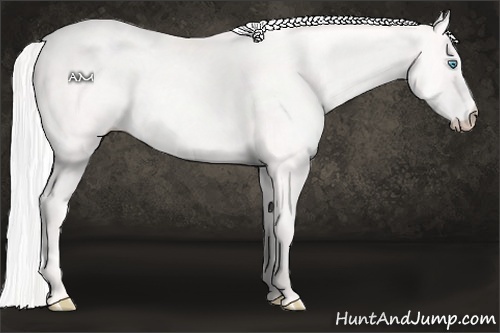 Horse Color:Silver Perlino 