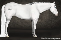 Horse Color:Silver Perlino 