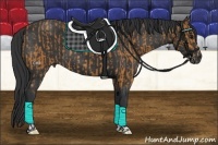 Horse Color:Bay and Black