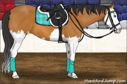 Horse Color:Bay Splash 