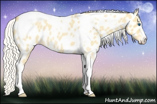 Horse Color:Silver Classic Cream Champagne Roan Splash Tobiano Frame Appaloosa Rabicano